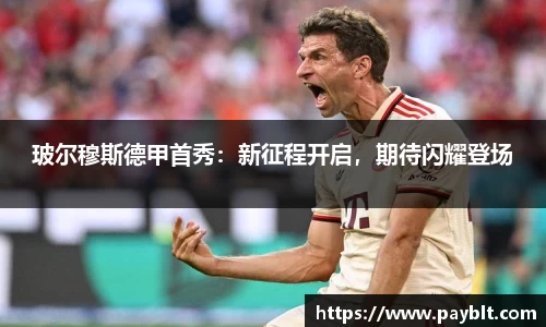 28圈.ccmpc正版
