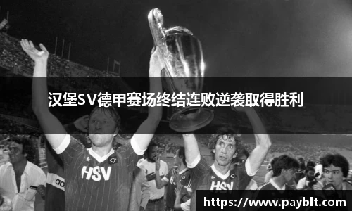28圈.ccmpc正版