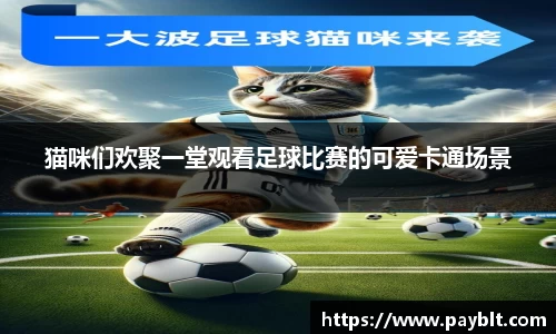 28圈.ccmpc正版