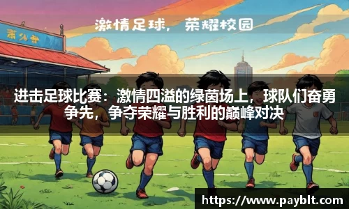 28圈.ccmpc正版