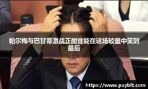 28圈.ccm