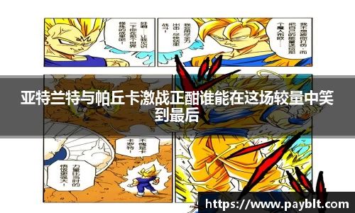 28圈.ccmpc正版