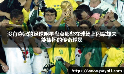 没有夺冠的足球明星盘点那些在球场上闪耀却未能捧杯的传奇球员